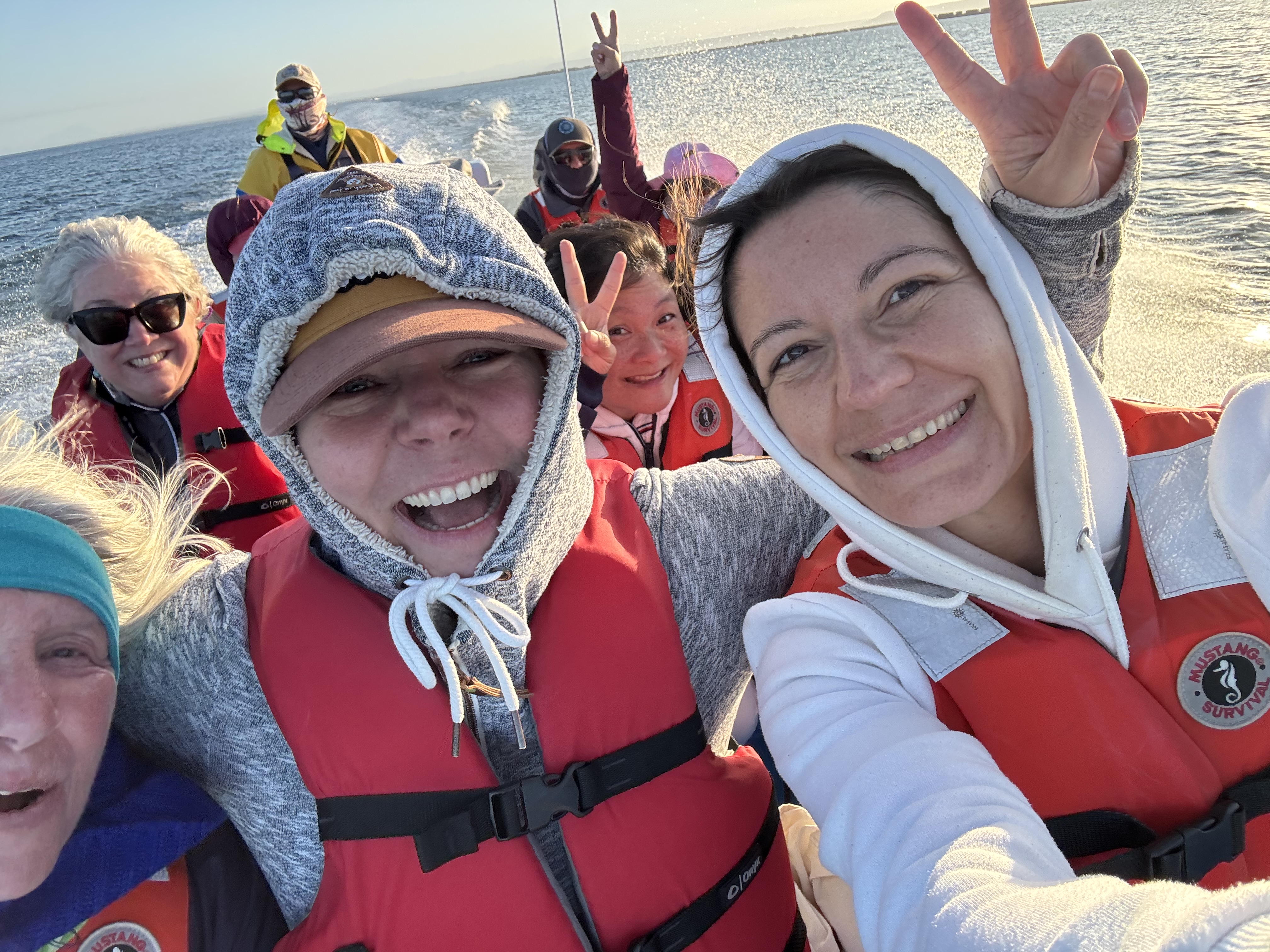 The most extraordinary whale encounters in the world – Baja California